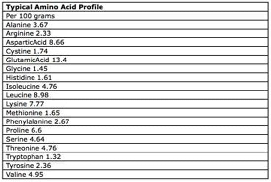 MooreProtein Chocolate Peanut Butter Pretzel